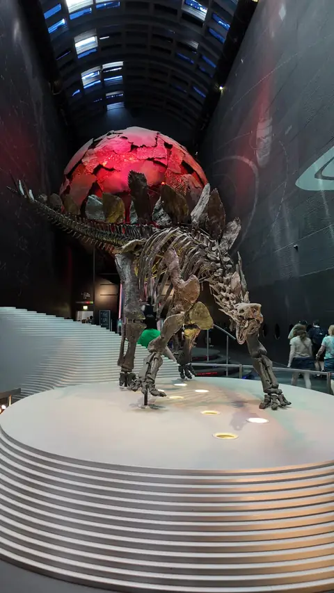 Doğa Tarihi Müzesi'nde dinozor iskeleti
